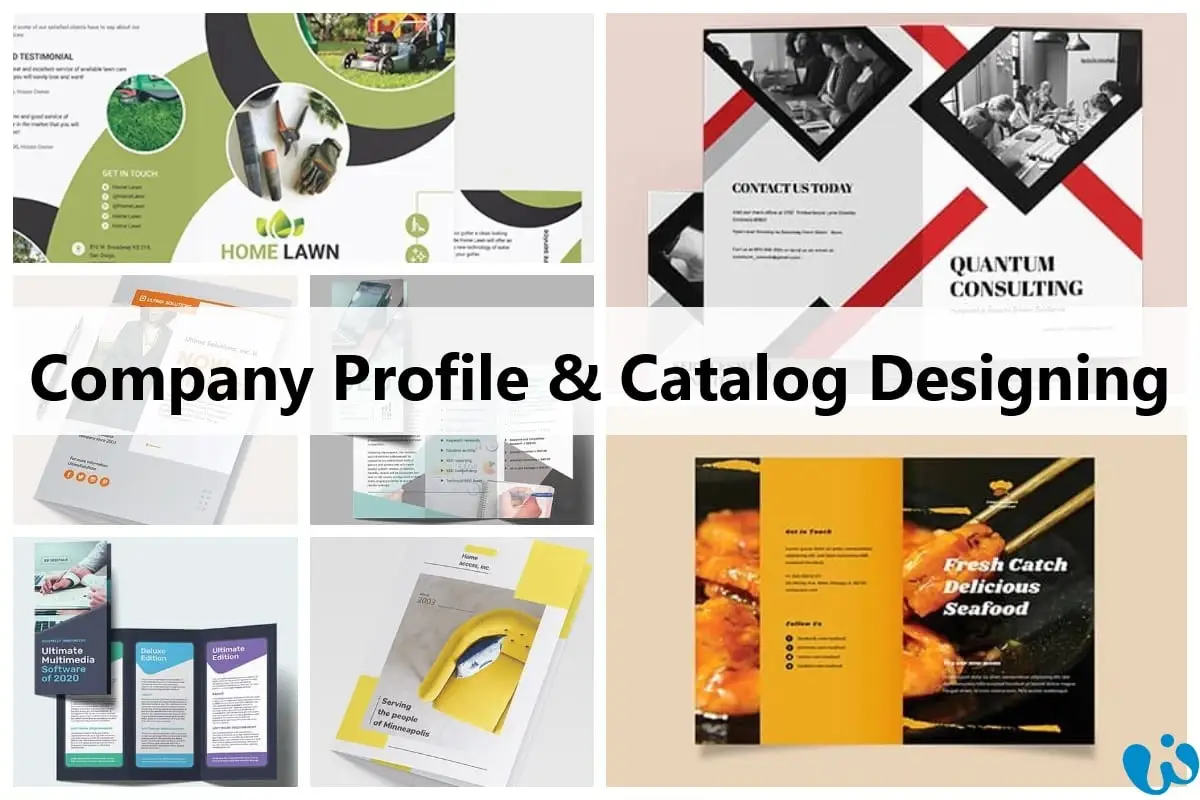 Branding Graphic Design in Lahore Business Growth